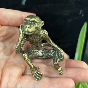 Può includere: Piccola statuetta di scimmia color bronzo in posizione seduta, con una mano che tocca il viso. La scimmia ha dettagli fini ed è ambientata su uno sfondo scuro con fogliame verde.