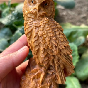 May include: A detailed wooden owl sculpture with intricate feather carvings. The owl has large, dark eyes and is perched on a textured wooden base. The sculpture is a warm, natural brown color, showcasing the wood grain.