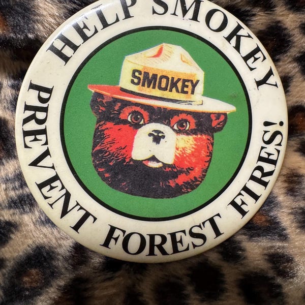 Vintage smokey the bear pin pin back pin button help smokey prevent forest fires