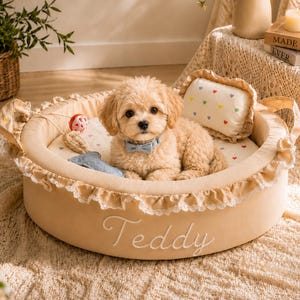 May include: A round, beige pet bed with a ruffled lace trim and the name Teddy embroidered in white script on the front. A small, light-colored puppy with a blue bow tie sits inside on a white cushion patterned with tiny colorful hearts.