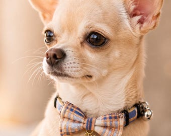 Personalized Chihuahua Collar with Plaid Bow Tie & Rhinestone Initial Charm, Chihuahua Puppy Collar