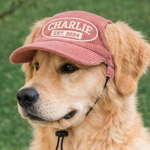 May include: A golden retriever wearing a dusty rose corduroy cap. The cap has a curved brim and an oval patch with the name "CHARLIE" and the year "EST. 2024" in white lettering. A black chin strap secures the cap.