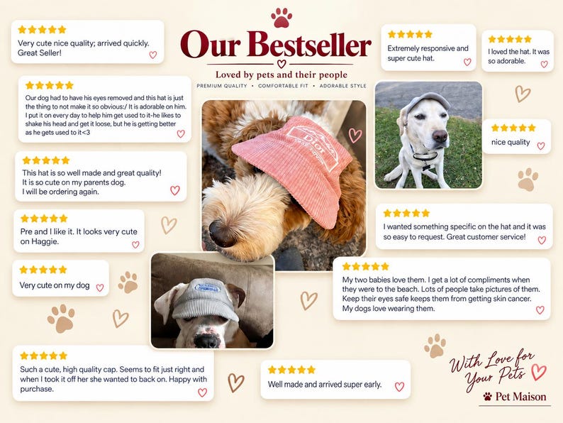 Personalized Pet Baseball Cap, Embroidered Name Dog Cat Hat, Custom Pet Accessory image 2