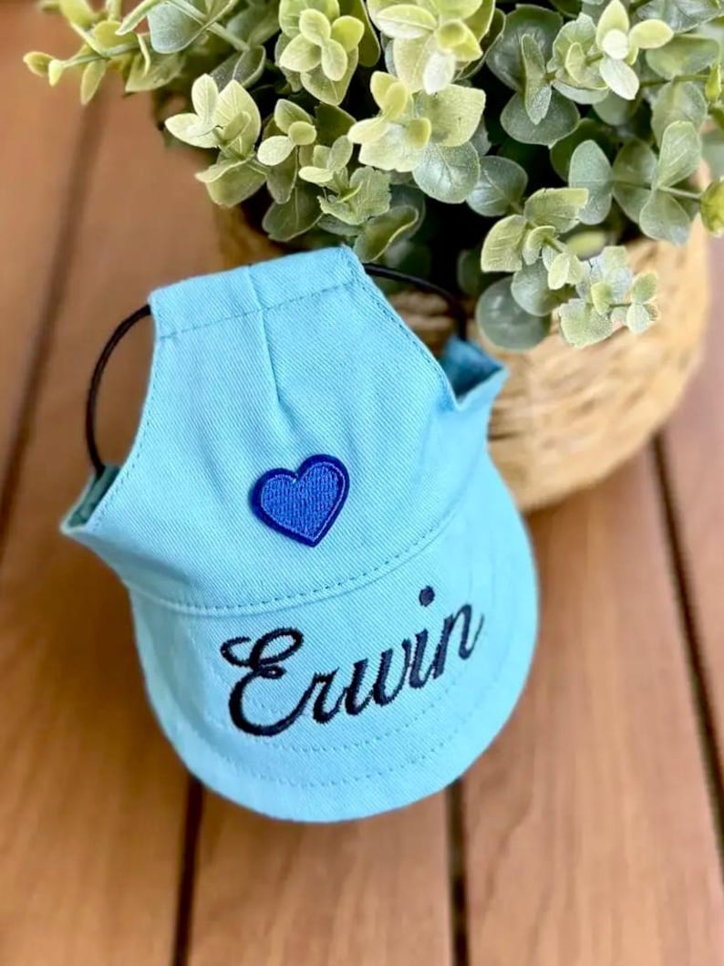 May include: A light blue pet visor featuring a dark blue embroidered heart patch centered above the name Erwin, which is stitched in black cursive script. The visor includes a thin black elastic strap for secure placement.