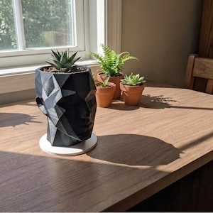 May include: A black geometric head-shaped planter with a succulent plant, sitting on a white circular base. Other small terracotta pots with plants are in the background, near a window. The scene is set on a wooden table.