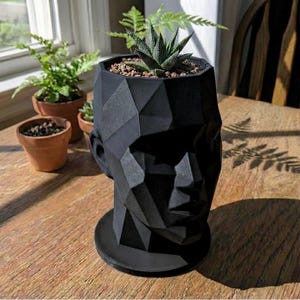 May include: A black geometric head-shaped planter with a succulent plant. The planter is made of a matte black material and has a round base. Several small terracotta pots with plants are in the background.