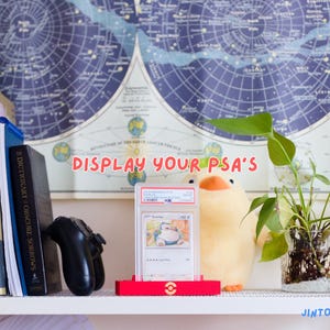 May include: A shelf with books, a games controller, and a plush duck. A graded trading card is displayed in a red stand. The text "DISPLAY YOUR PSA'S" is visible on the wall.
