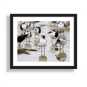 The Chorus of the Shore | Limited Edition Print (NO FRAME). Fine Art Photography, Wall Art, Home Decor
