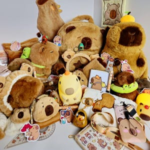 Capybara Personalized Mystery Gift Box, Adorable Animal Surprise Box, Cute Kawaii Plushies, Stationery, School Supplies, Accessories & More
