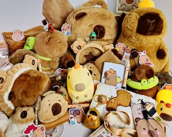 Caja de regalo misteriosa personalizada de capibara, adorable caja sorpresa de animales, lindos peluches kawaii, papelería, útiles escolares, accesorios y más.