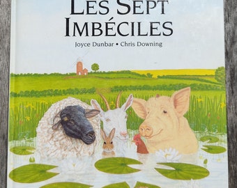 Les Sept Imbéciles Livre Vintage - 1994 - Joyce Dunbar - Chris Downing - Casterman - Livre Pour Les Enfants - French Vintage Children Book