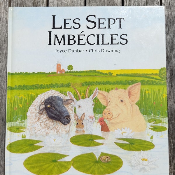 Les Sept Imbéciles Livre Vintage - 1994 - Joyce Dunbar - Chris Downing - Casterman - Livre Pour Les Enfants - French Vintage Children Book