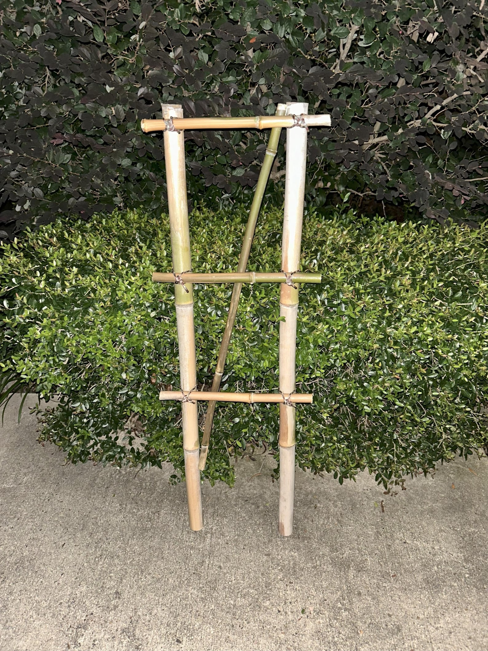 Handmade Bamboo Trellis, 36 In - Etsy