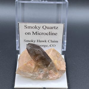 Puede incluir: Un cristal de cuarzo ahumado marrón oscuro sobre una base de microclina melocotón y beige, presentado en una caja de plástico transparente. La etiqueta dice "Smoky Quartz on Microcline".