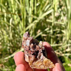May include: A cluster of brown, tan, and clear crystals. The crystals are held in a hand against green and yellow foliage. The crystals have a rough, natural texture. The image is well-lit.