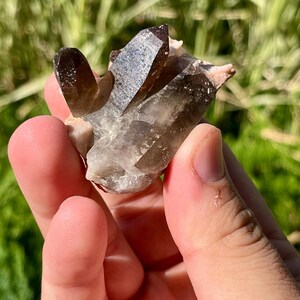 Puede incluir: Un grupo de cristales de cuarzo ahumado, con múltiples puntas de color marrón oscuro. Los cristales tienen una textura natural y rugosa, sostenidos en una mano sobre un fondo verde borroso.