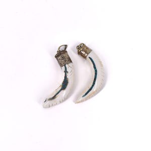 2 colgantes de concha sagrada tibetana