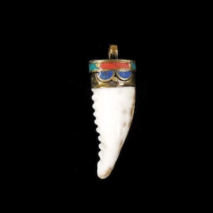 Colgante de concha sagrada tibetana con incrustaciones