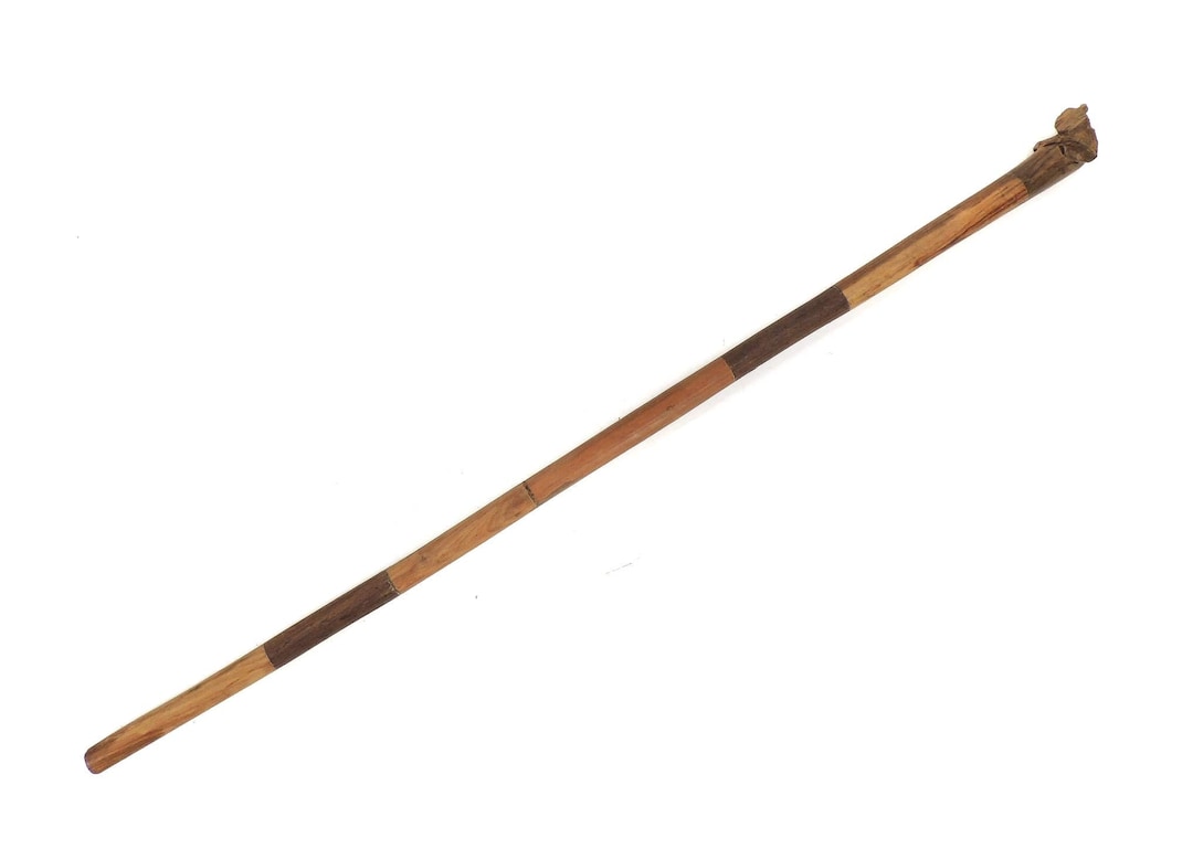 Elephant Cane Walking Stick Zimbabwe - Etsy