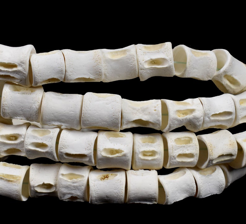 Fish Vertebrae Bone Beads Africa 36 Inches 136202
