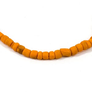 Wild Seed Orange Trade Beads