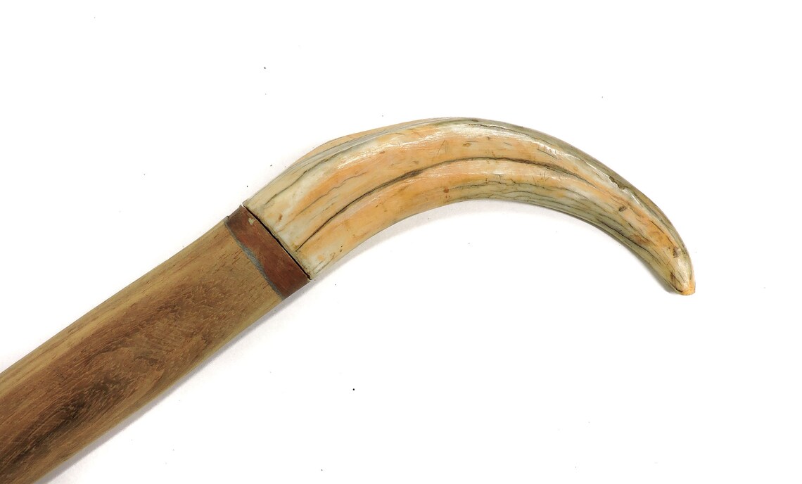 Cane Or Walking Stick Zimbabwe Africa 127383 Etsy