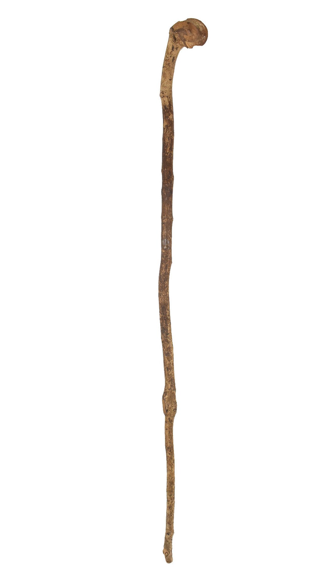 Zulu Knobkerrie Wood Walking Stick South Africa Dori Etsy