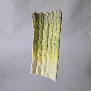 Könnte beinhalten: Eine keramische Servierplatte in Spargelform. Die Platte ist in Grün- und Gelbtönen bemalt und hat eine strukturierte Oberfläche, um das Aussehen des Gemüses nachzuahmen. Die Platte ist als Spargelbund gestaltet.