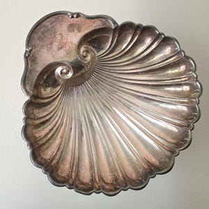 May include: A silver-toned, shell-shaped dish with a detailed, ridged design. The dish has a spiral detail at the top and a scalloped edge. The metallic surface reflects light, highlighting the intricate textures and curves of the decorative piece.