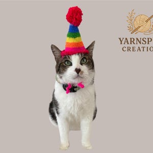 Rainbow Crochet Cat Birthday Hat – Handmade Pet Party Hat with Pom Pom – Adjustable Kitten or Small Dog Hat