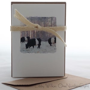 BELTIE COWS SET, Watercolor Image, Set Five Cards, Blank Greeting Card, Fold Over Card image 1
