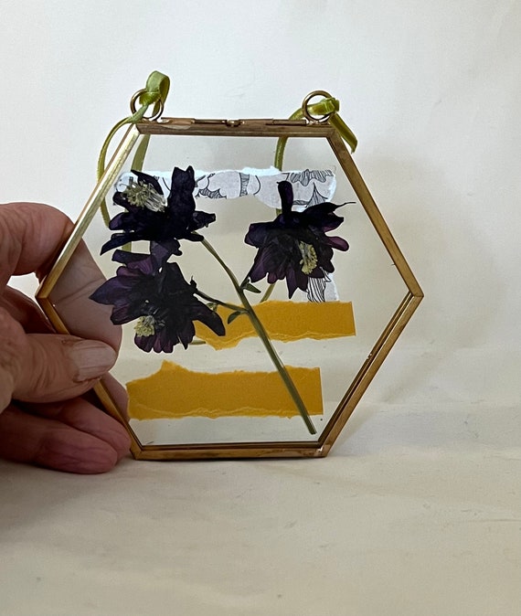 PRESSED DRIED FLOWERS, dark Columbine , vintage papers, collage in small hexagonal frame