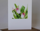 Watercolor Pink Tulip Notecard: Floral Greeting Card