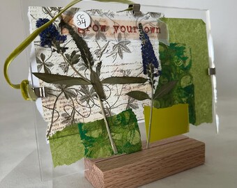 May include: A clear acrylic frame with a pressed flower arrangement and the text "Grow your own" on a white background. The frame is on a wooden stand.