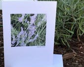 Lavender Field Blank Card: Watercolor Floral Greeting