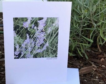 May include: A white card with a watercolor painting of lavender flowers and a bee. The text "Lavender Fields" is printed below the image. The card is signed "Libby Wilkie: One"