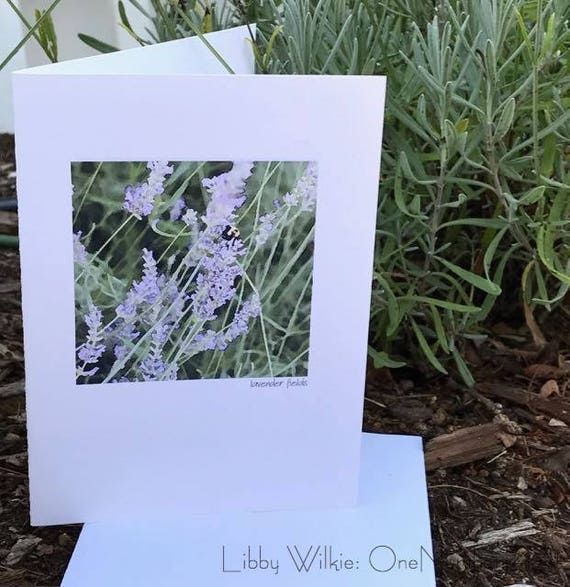 Lavender Field Blank Greeting Card, lavender watercolor image, lavender card, watercolor lavender greeting card