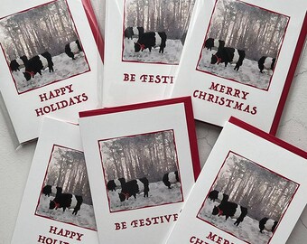 May include: A collection of holiday greeting cards with red borders and white fronts. Each card features a black and white cow in a snowy forest scene. Text on the cards reads "Happy Holidays", "Be Festive", and "Merry Christmas".