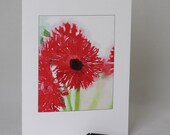 Red Gerbera Flower Card: Fine Art Cotton Paper, Blank Inside