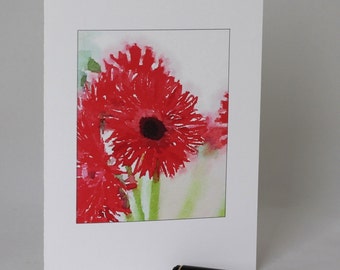 May include: A watercolor painting of red gerbera daisies on a white background.