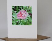 Card Pink Flower Watercolor : Blank Inside, Cotton Rag Paper