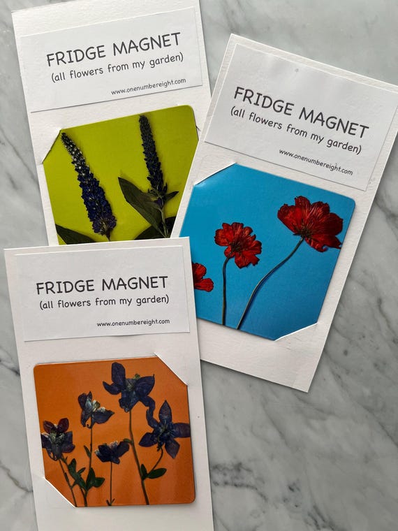 Fun Refrigerator Magnet, colorful magnets, floral and bright magnets, pressed flower photo magnets, art fridge magnets, square magnets