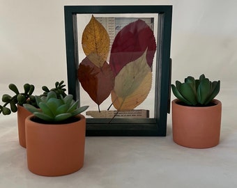 PRESSED LEAVES, wooden box frame, leaves and vintage paper and flowers, stand alone wooden frame