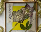 FRAMED FLOWER COLLAGE,  pressed hellebores, chartreuse paper, collage design, pressed flower wall art, vintage paper collage