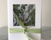 LAVENDER FIELD SET, Watercolor Image, Set Five Cards, Blank Greeting Card, Fold Over Card