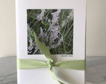 May include: A white card with a green ribbon tied around it. The card has a photo of a lavender field with a bee in the center. The text "lavender fields" is printed below the photo.