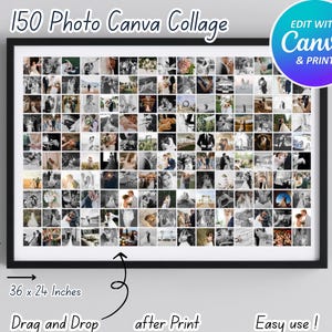 Canvascollage med 150 foton, mall för affischcollage för 150 foton, fotocollage i affischstorlek, mall för fotocollage. Enkel redigering och användning.
