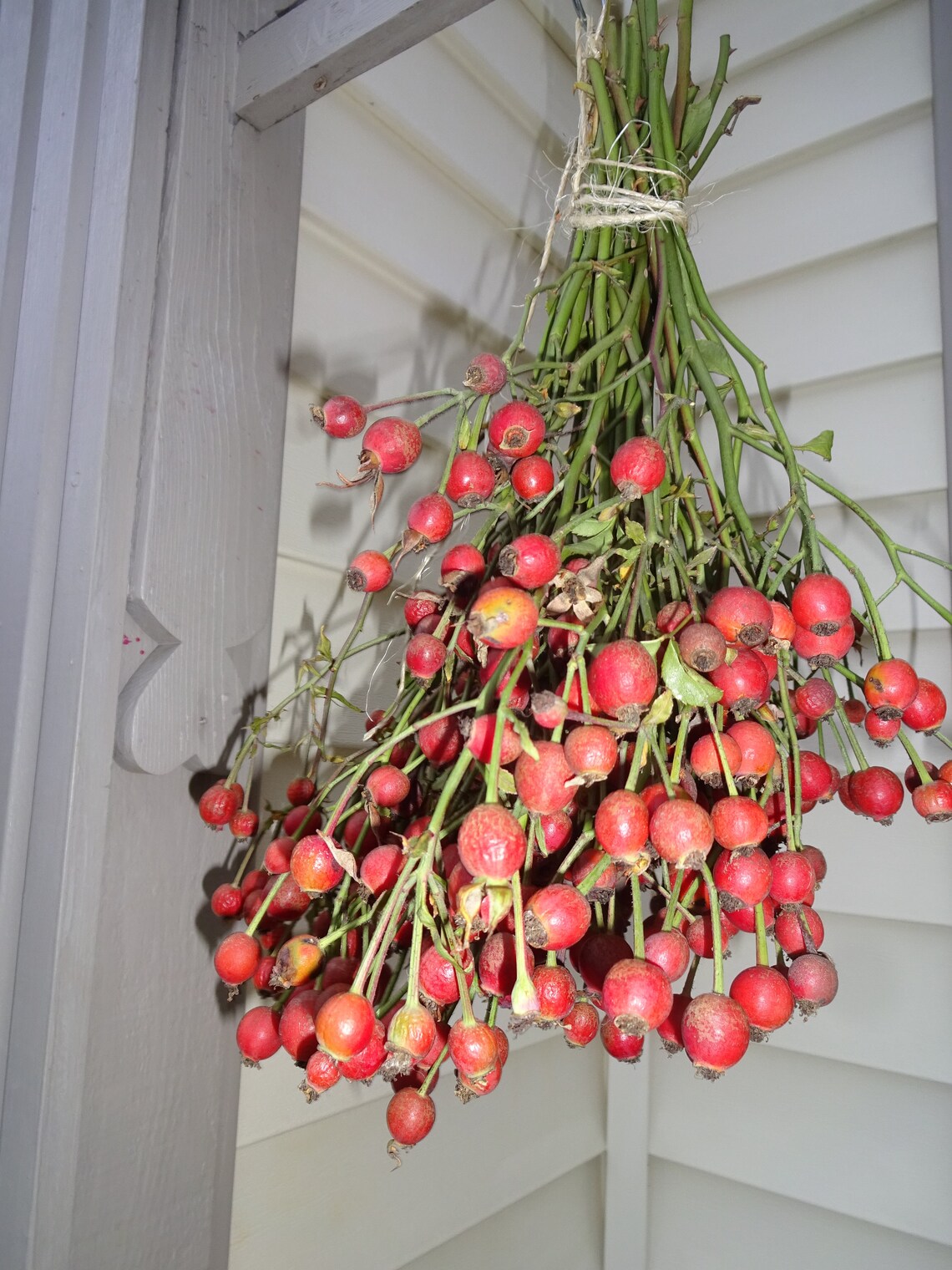 Rose Hips Dried Rose Hips Holiday Decorations Floral Etsy