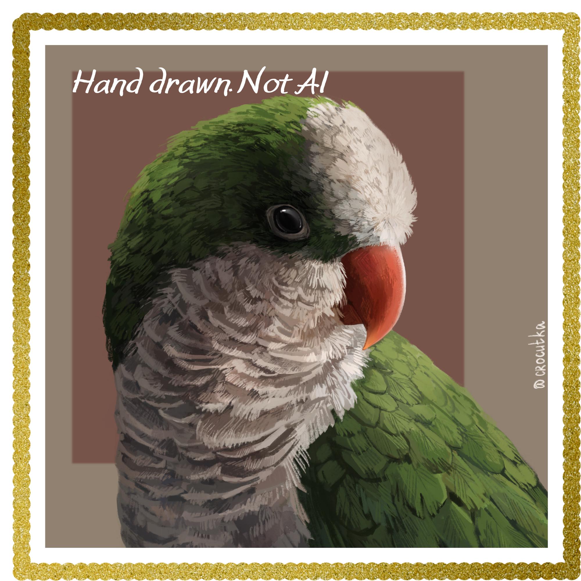 Quaker Parrot Wall Art Print, Hand Drawn Digital Monk Parakeet