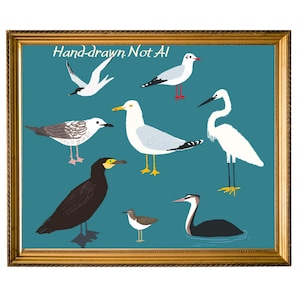 Water Birds Printable Wall Art, Educational Bird Poster, Hand Drawn Digital Illustration,  Decor for Kids & Nature Lovers, No AI Download